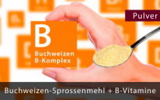 Buchweizen Sprossenmehl mit allen B-Vitaminen, reicht für 3 - 4 Monate. Premium-Pulver