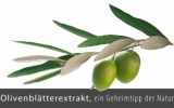Olivenblätter-Extrakt, 75 Stk.